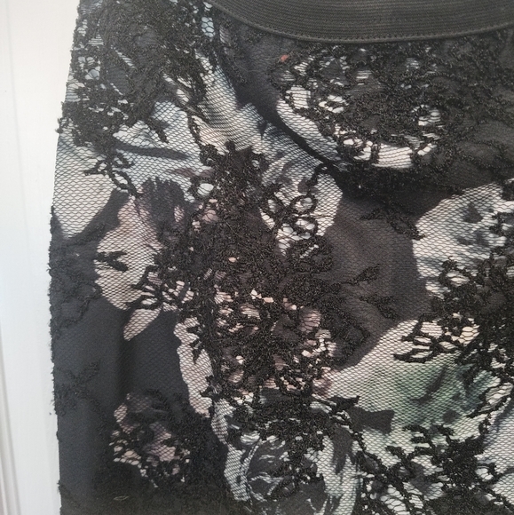 Coast Lace Pencil Skirt - Picture 3 of 4
